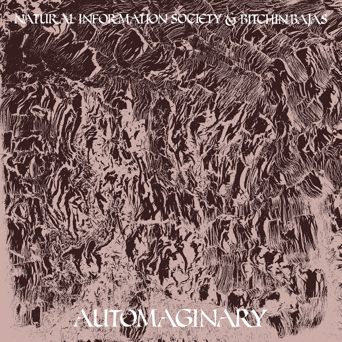 Bitchin Bajas & Natural Information Society - Automaginary - Vinyl