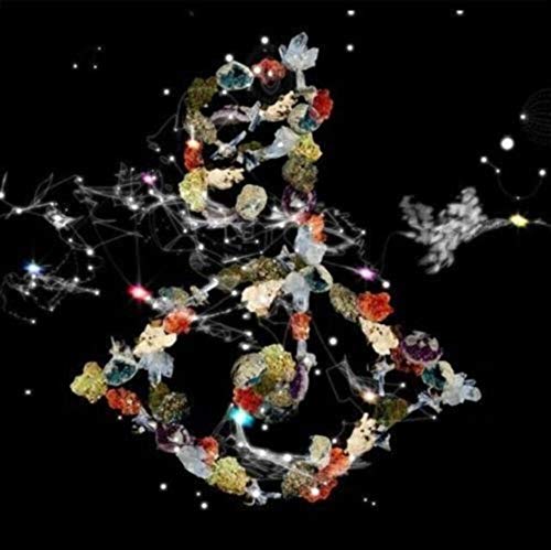 Bjork - Biophilia - Vinyl