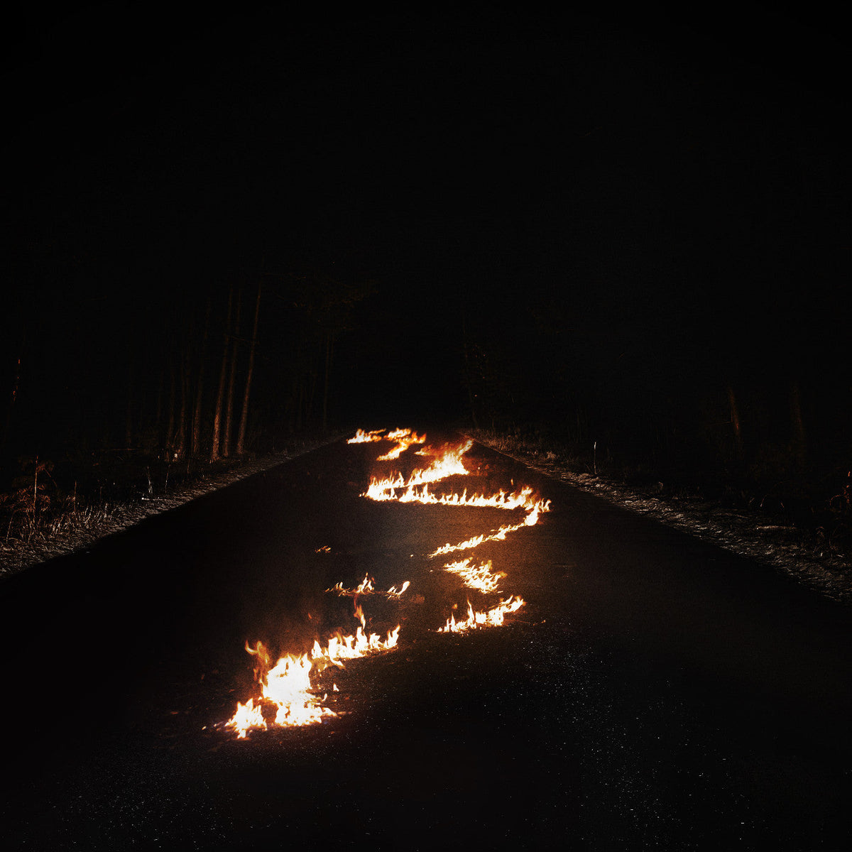 Bob Moses - Battle Lines (Indie Exclusive, Clear Vinyl) - Vinyl