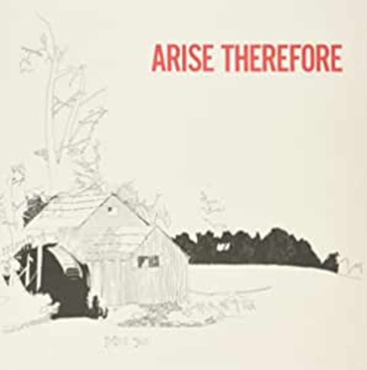Bonnie 'Prince' Billy - Arise Therefore - Vinyl
