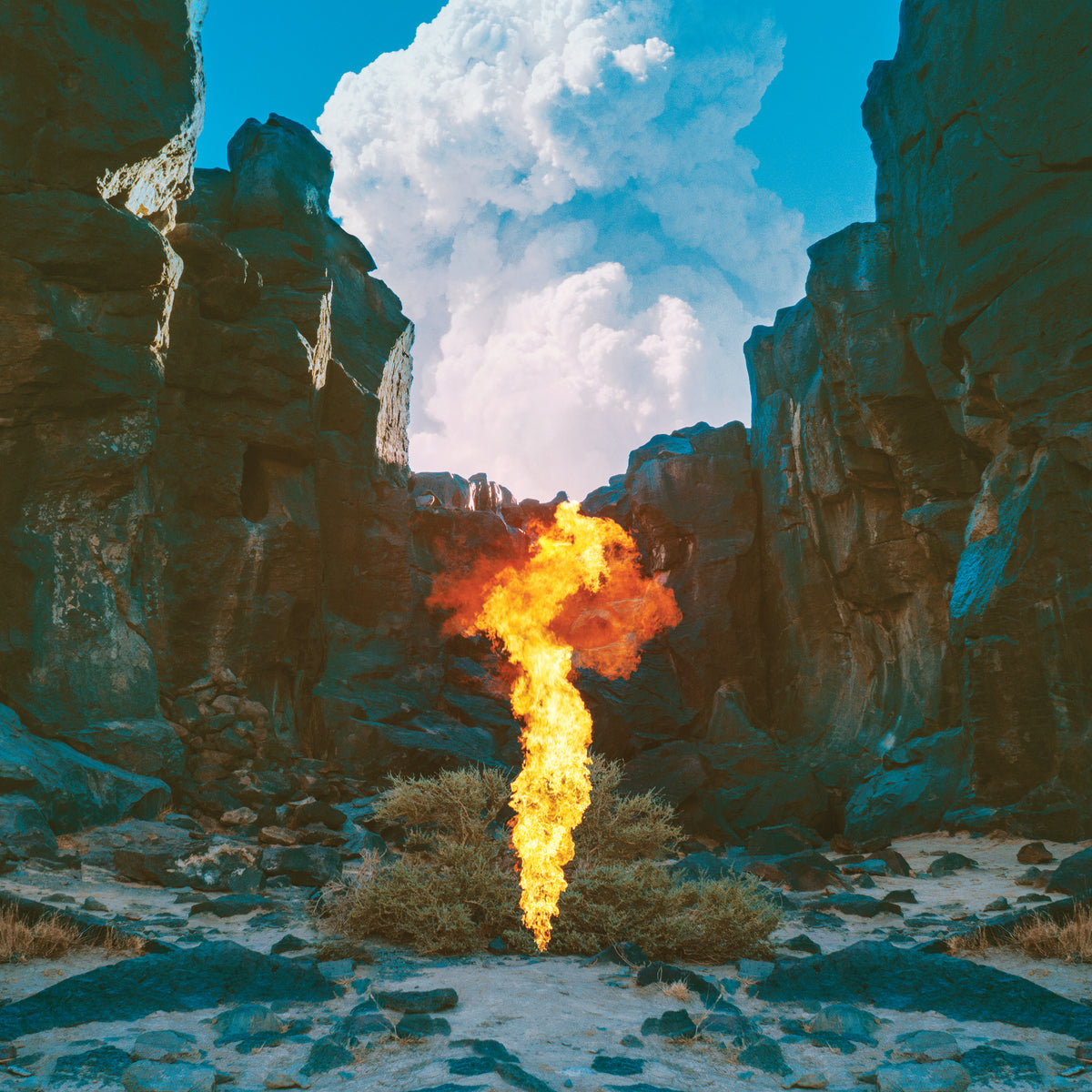 Bonobo - Migration - Vinyl