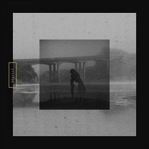 Braille - Mute Swan - Vinyl