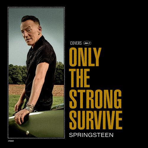 Bruce Springsteen - Only The Strong Survive (Colored Vinyl, Orange, Gatefold LP Jacket, Poster, Indie Exclusive) (2 Lp's) - Vinyl