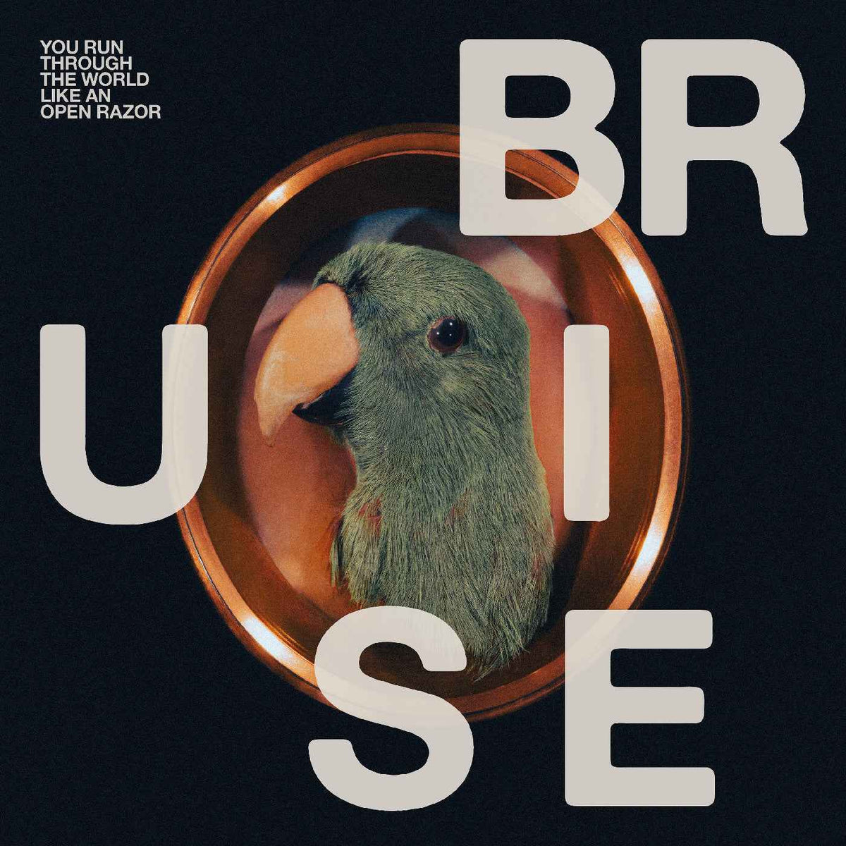 Bruise Blood - You Run Through The World Like An Open Razor - Vinyl