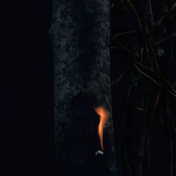 Bzdb - Jump Ship, Sit Lean, Be Still, Stand Tall - Vinyl