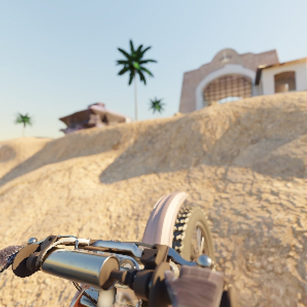 Charles "Poppy Bob" Walker - Dirt Bike Vacation - Vinyl