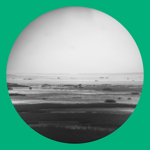 CHIK WHITE - Guts Magnet Sea - CD