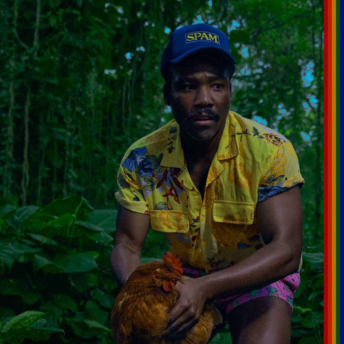 Childish Gambino - Bando Stone and the New World (2LP Opaque Black, Holographic Inner Sleeves) - Vinyl