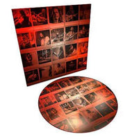 Chris Cornell - No One Sings Like You Anymore (Picture Disc Vinyl, Limited Edition) - Vinyl