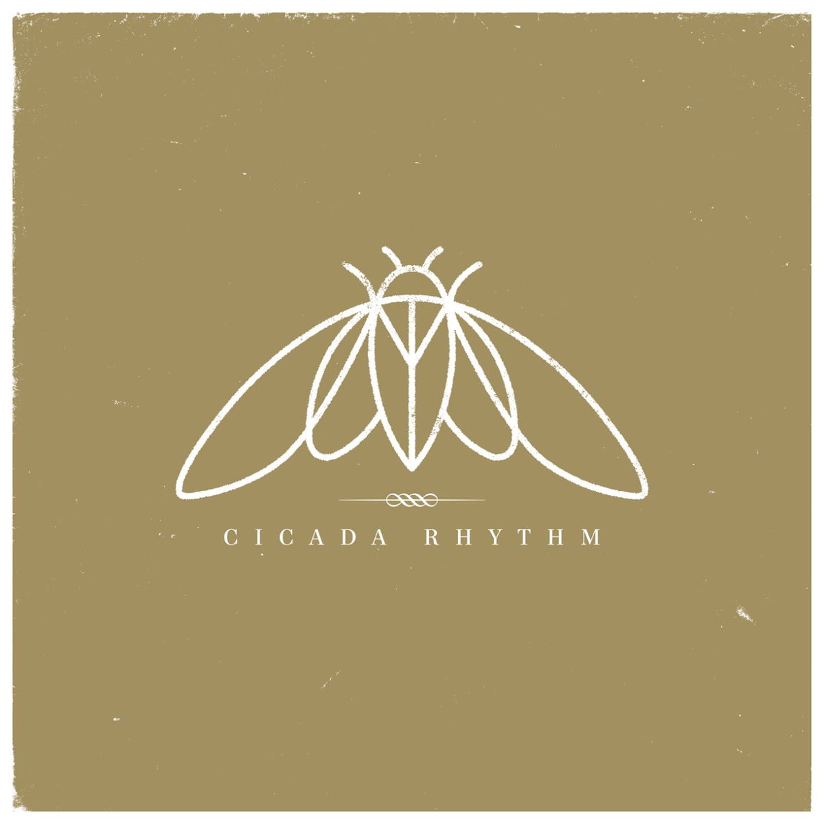 Cicada Rhythm - Cicada Rhythm - Vinyl