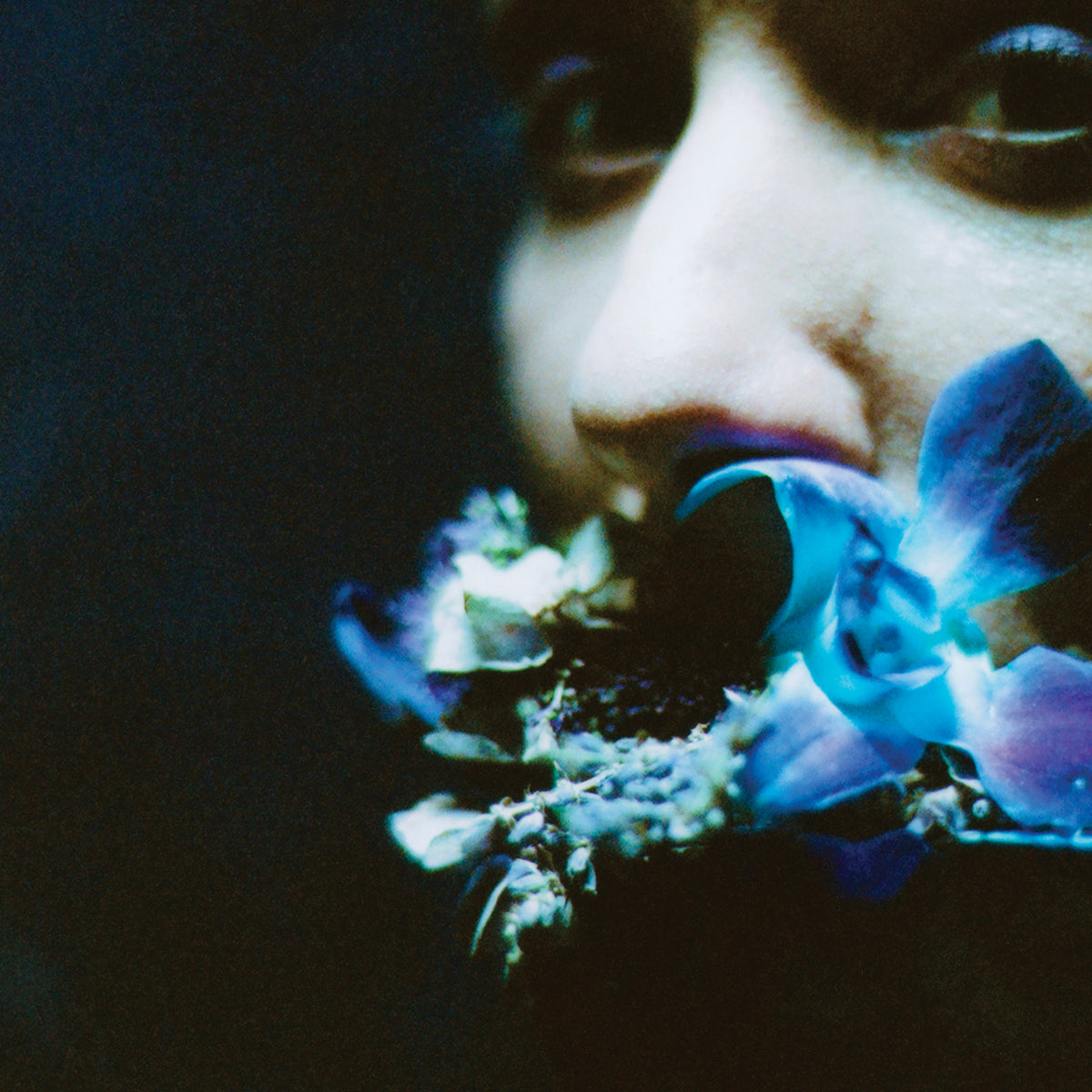 Circuit Des Yeux - Reaching For Indigo - Vinyl