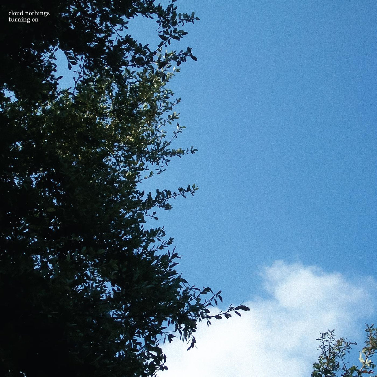 Cloud Nothings - Turning On - Vinyl