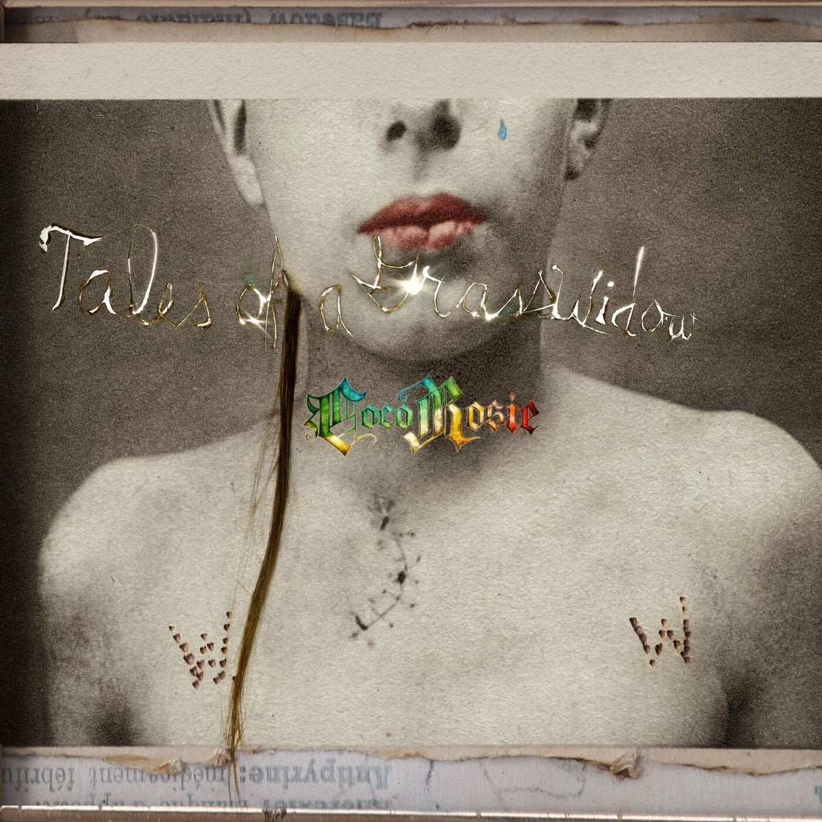 CocoRosie - Tales Of A GrassWidow - Vinyl