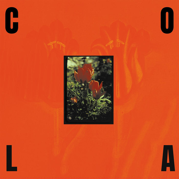 Cola - The Gloss (Indie Exclusive Transparent Olive Green Vinyl) - Vinyl