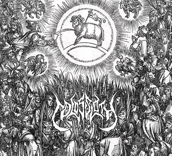 COLOSSLOTH - Heathen Needles - CD