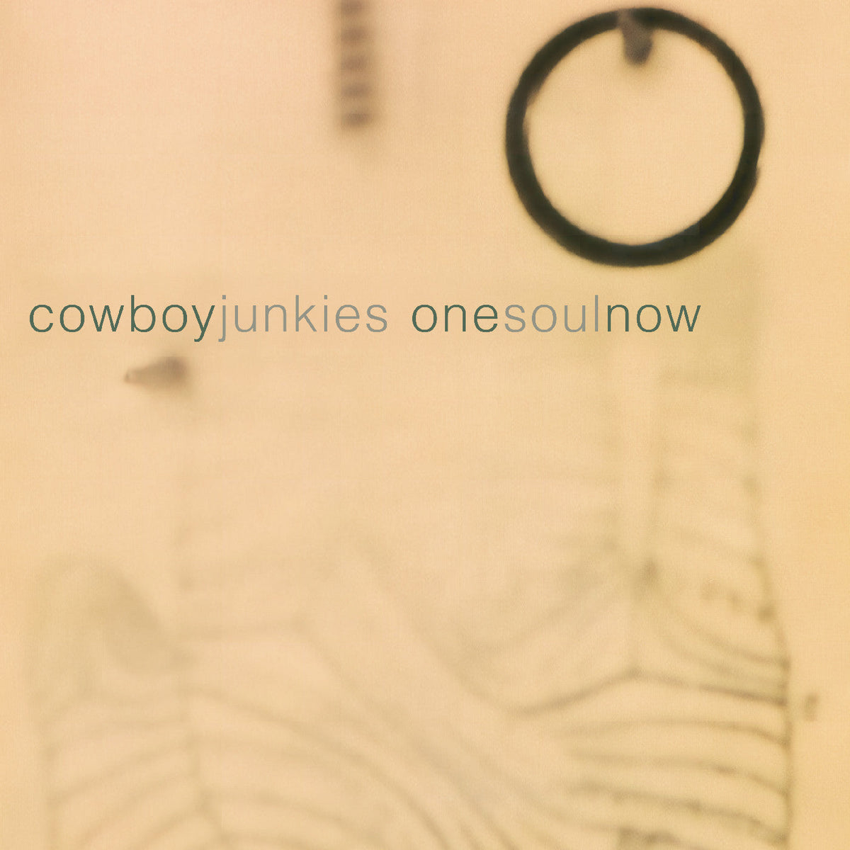 Cowboy Junkies - One Soul Now - CD