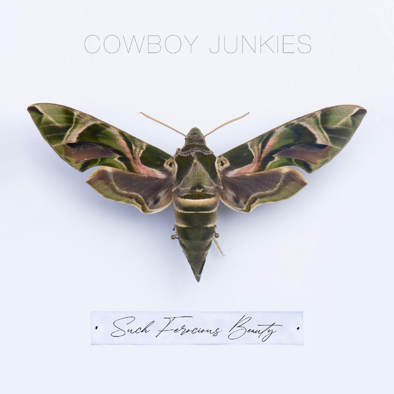 Cowboy Junkies - Such Ferocious Beauty (Green Translucent Vinyl) - Vinyl