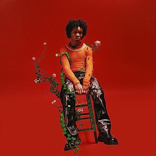 d4vd - Petals To Thorns [Translucent Black Ice LP] - Vinyl