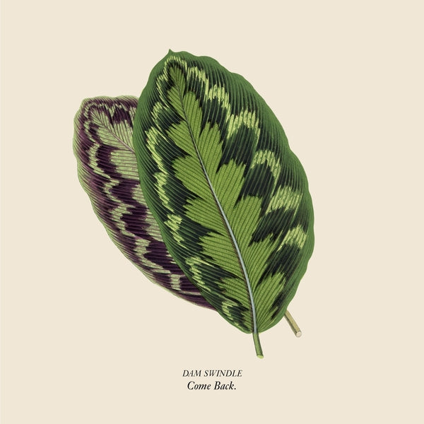 DAM SWINDLE - Come Back - Vinyl