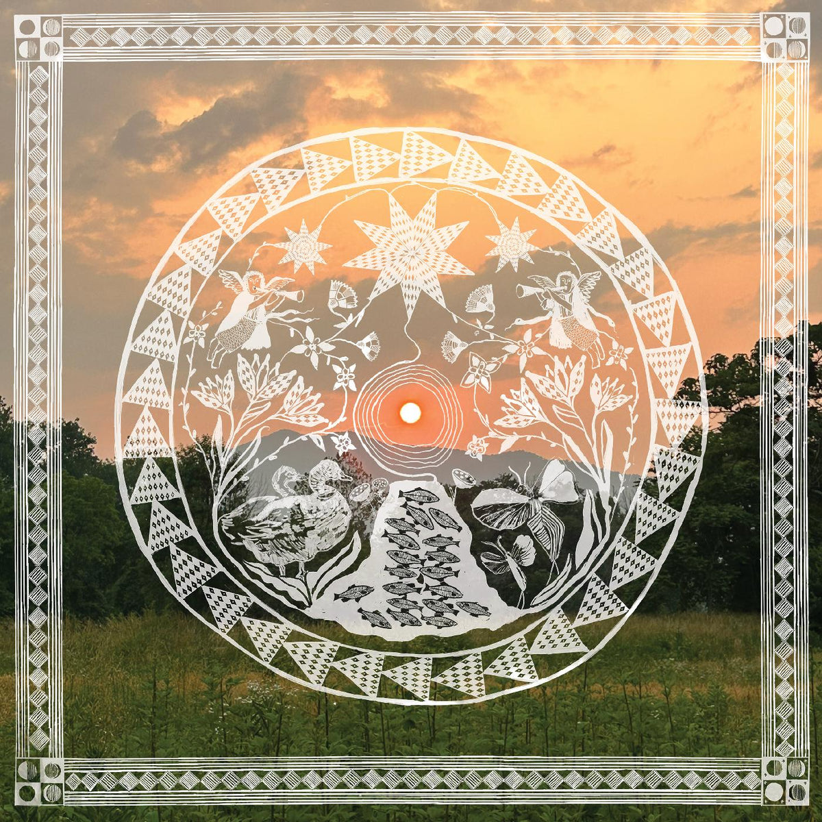 Daniel Bachman - When The Roses Come Again - Vinyl