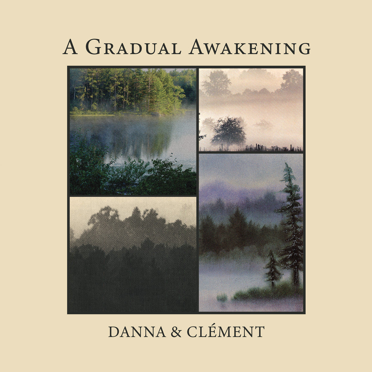 Danna And Clément - A Gradual Awakening - Vinyl