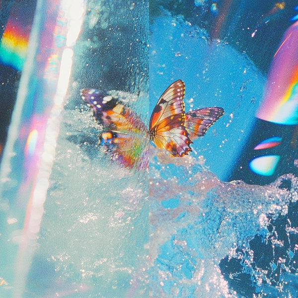 Daphni - Butterfly [2LP] - Vinyl