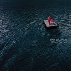 Dar Williams - I'll Meet You Here - Vinyl