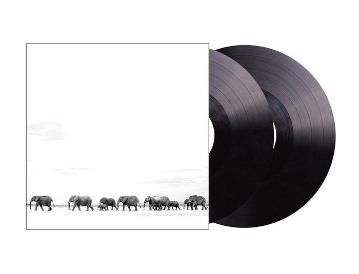 Dave Matthews Band - Where Are You Going: The Singles (2 Lp's) - Vinyl