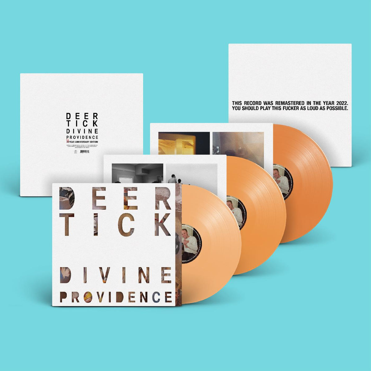 Deer Tick - Divine Providence (11th Anniversary) (DELUXE EDITION) - Vinyl