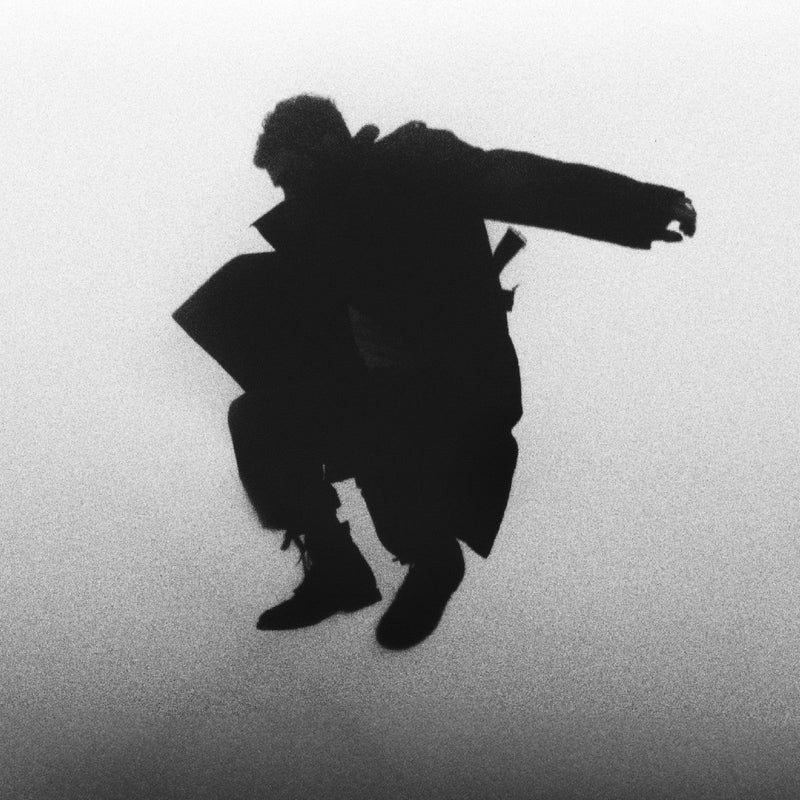 Del Water Gap - Chasing The Chimera - CD