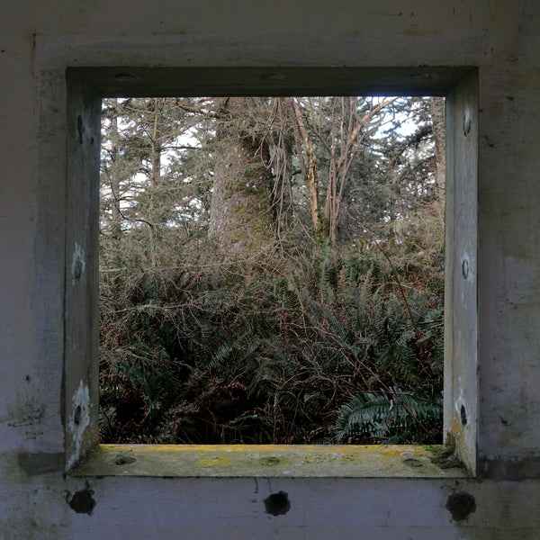 DEREK HUNTER WILSON - ScuLPtures [LP] - Vinyl