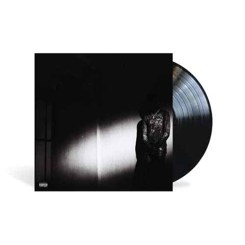Destroy Lonely - NO STYLIST [LP] - Vinyl