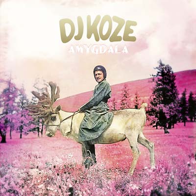DJ Koze - Amygdala - CD
