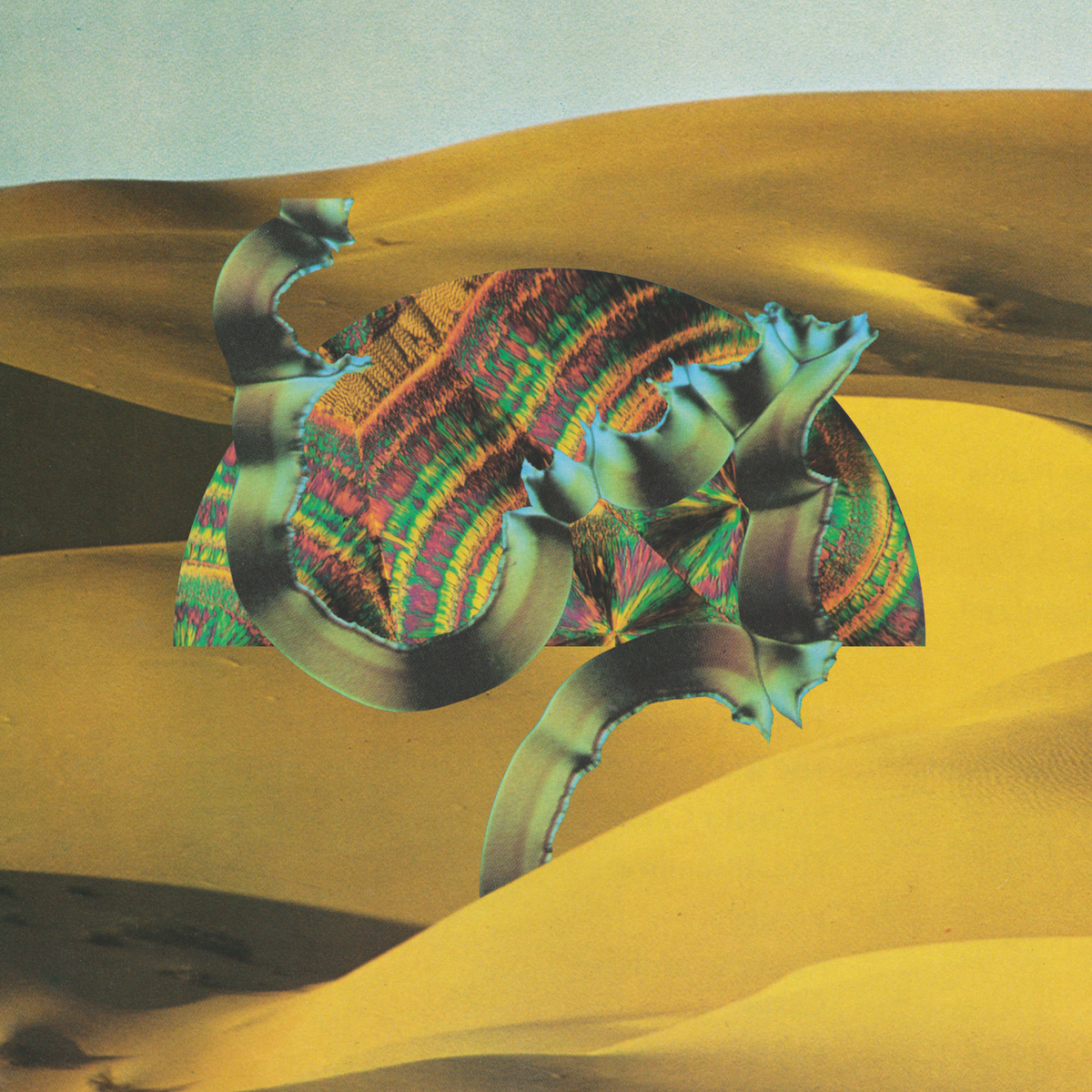 Django Django - Django Django - Vinyl