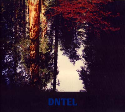 DNTEL - Aimlessness - CD