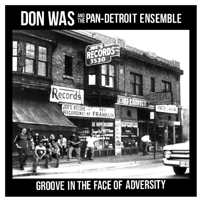 Don Was - Groove In The Face Of Adversity - Vinyl