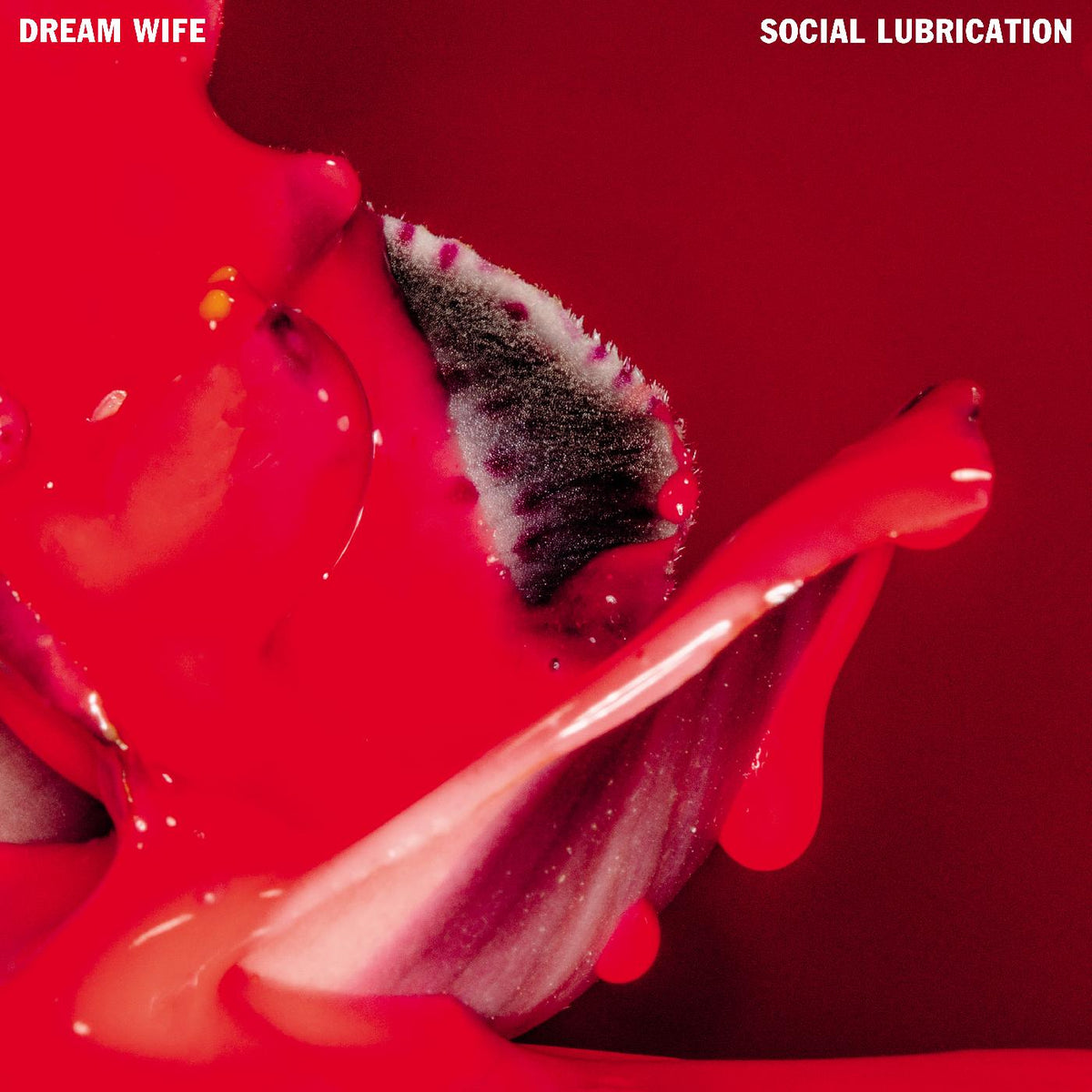 Dream Wife - Social Lubrication (DEEP RED VINYL) - Vinyl