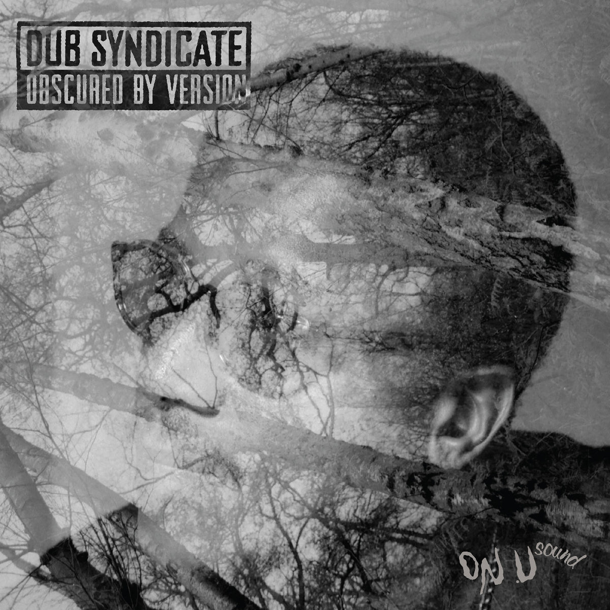 Dub Syndicate - Obscured By Version - Vinyl