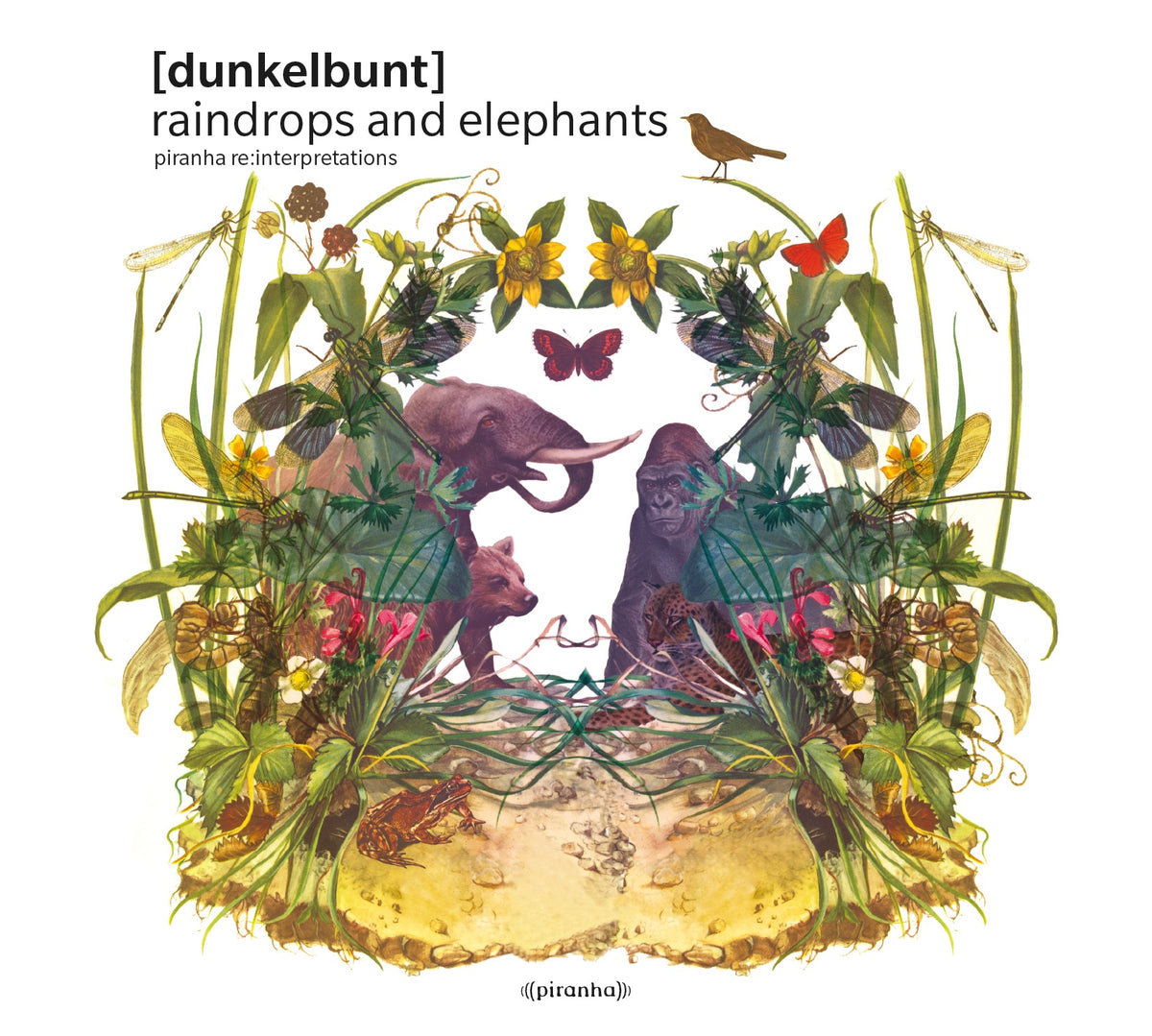 Dunkelbunt - Raindrops and Elephants - Vinyl