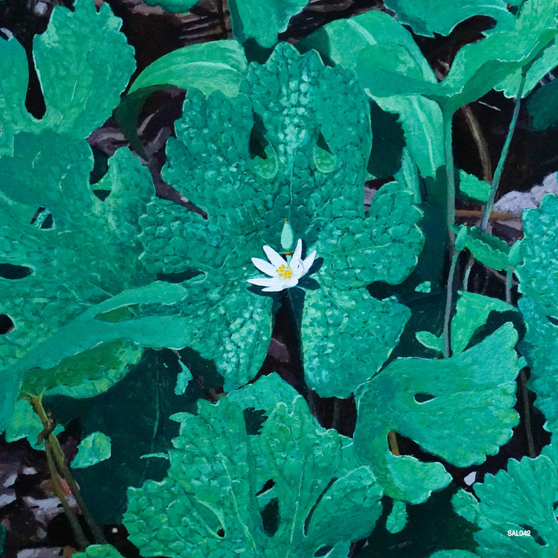 Early Fern - Wetland Interiors - Vinyl