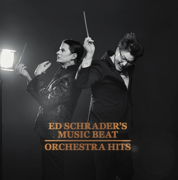 Ed Schrader's Music Beat - Orchestra Hits - CD