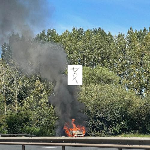 Eden - Dark - Vinyl