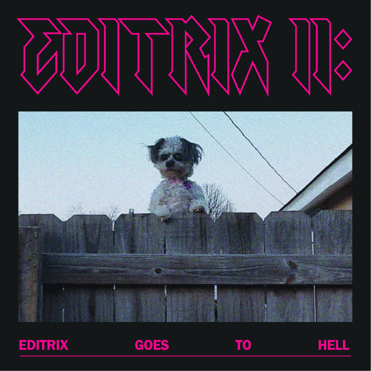Editrix - Editrix II: Editrix Goes To Hell - Vinyl