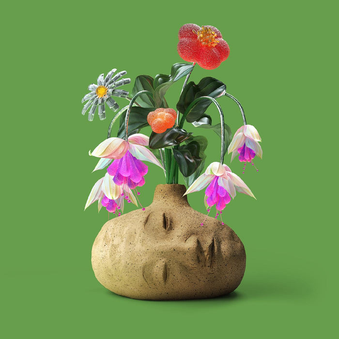 Elephant Gym - Dreams ("Flower Petal" Fuschia Vinyl) - Vinyl