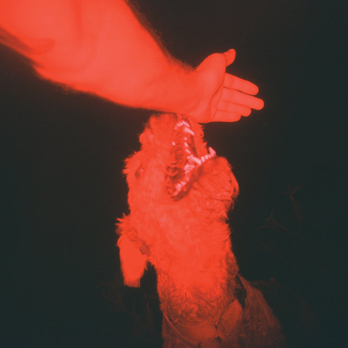 Eli Winter - A Trick Of The Light ("Optical Illusion" Transparent Red Vinyl) - Vinyl