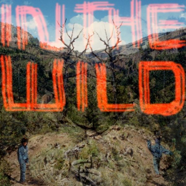 FaltyDL - In The Wild - Vinyl