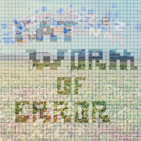 FAT WORM OF ERROR - Nzznzzzznnznznnn - Vinyl