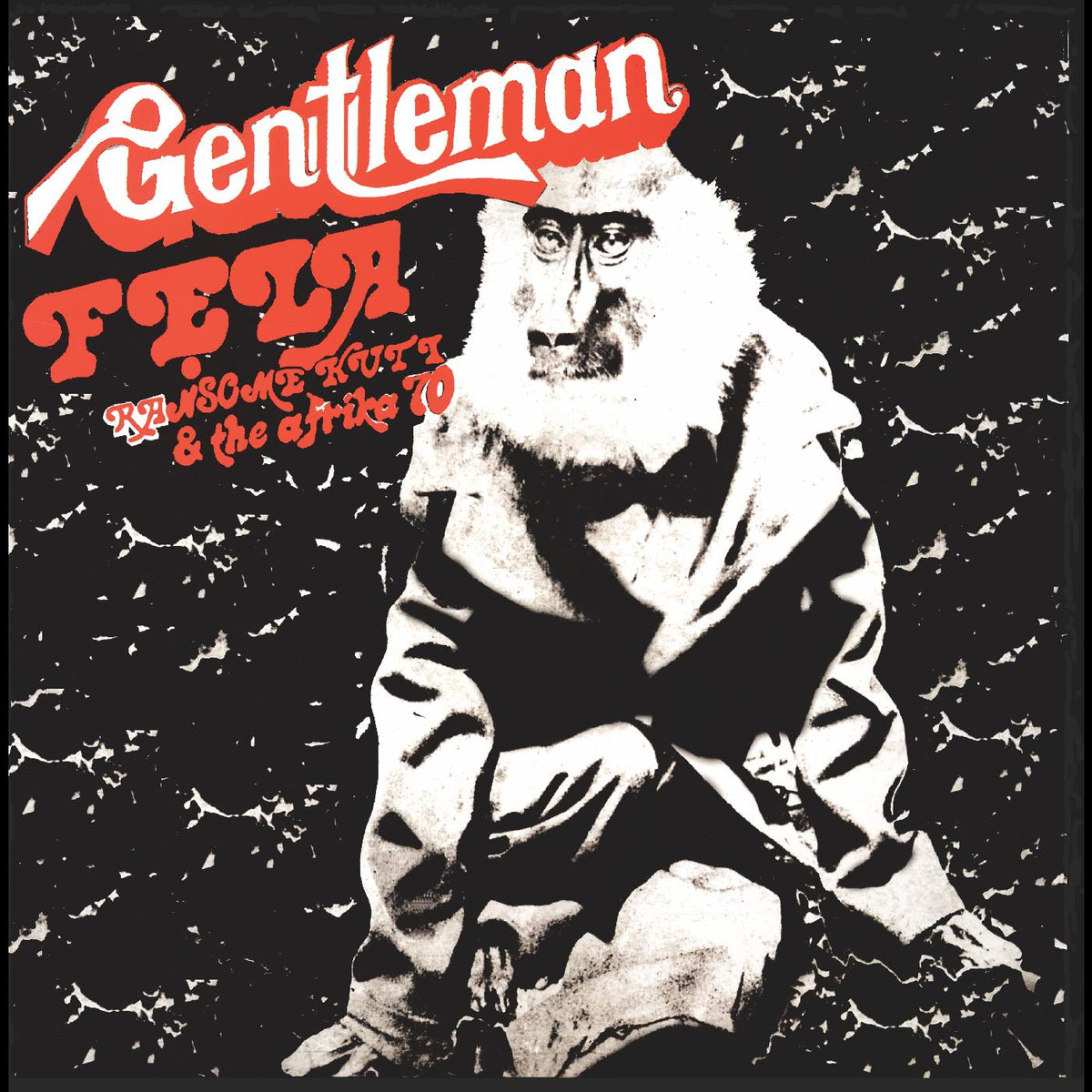 Fela Kuti - Gentleman (50th Anniversary) ("IGBO SMOKE" VINYL) - Vinyl