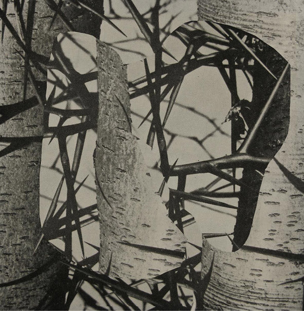 FEMME - Chroma - Vinyl