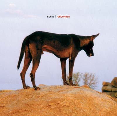 FENIN - Grounded - CD